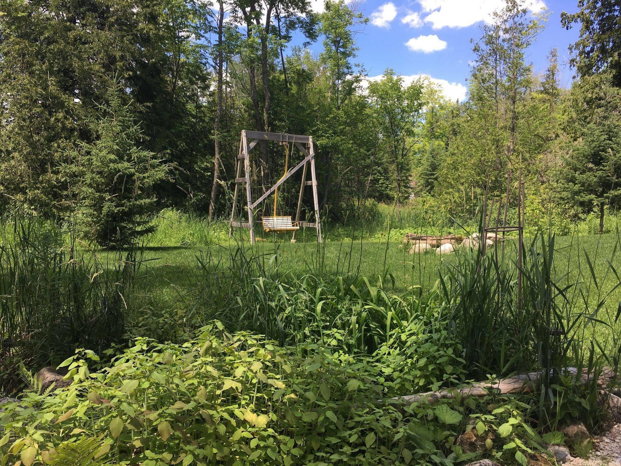 The Treehouse Bed And Breakfast Flesherton Exterior photo